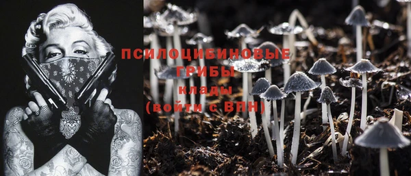 MDMA Premium VHQ Беломорск