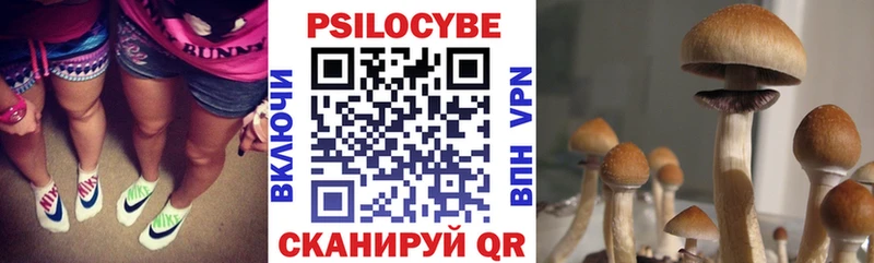 продажа наркотиков  Валуйки  Галлюциногенные грибы Magic Shrooms 